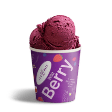 Lade das Bild in den Galerie-Viewer, VPE Händler 6 x Wild Berry Bio 400ml