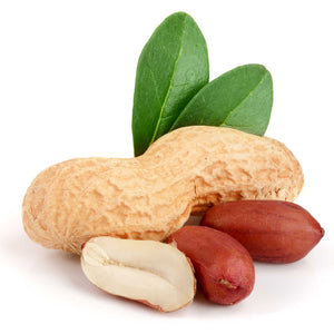 iceDate Salty Peanut Bio 120ml