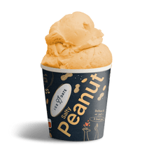 Load image into Gallery viewer, iceDate Salty Peanut Organic 450ml
